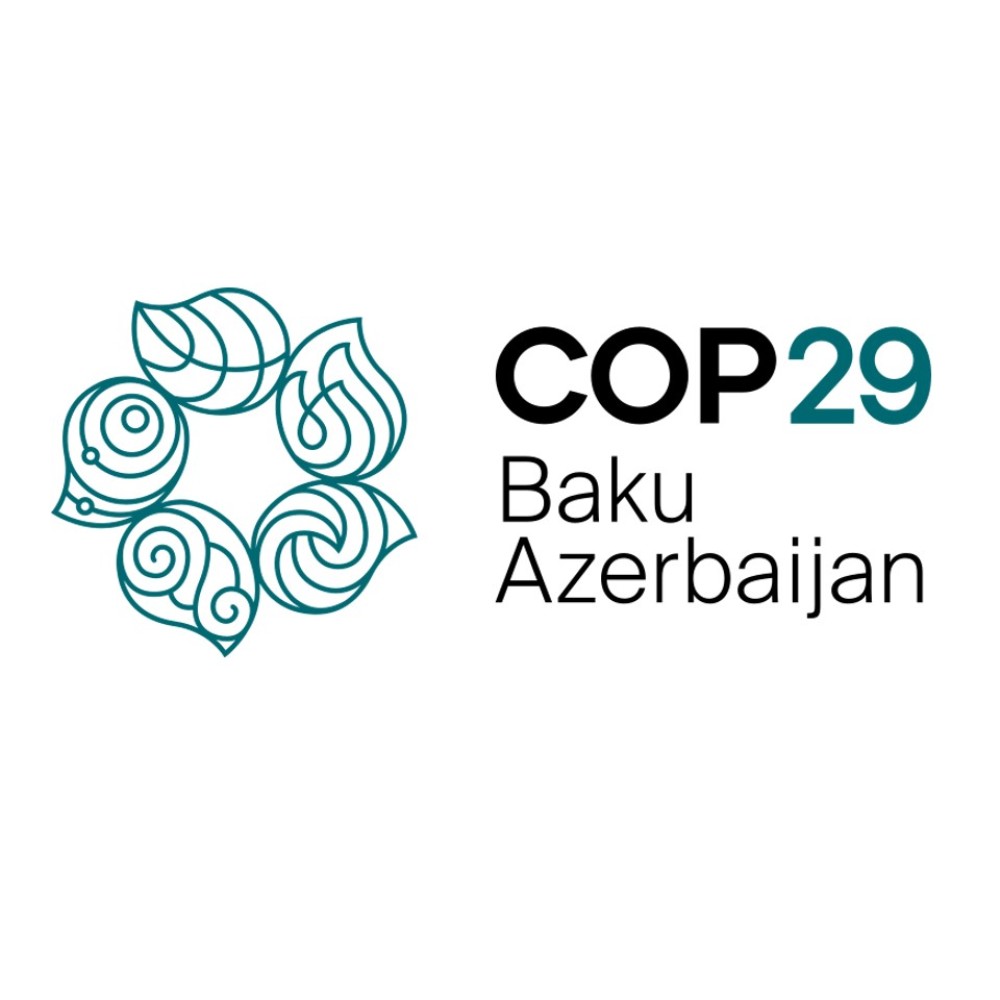 COP 29